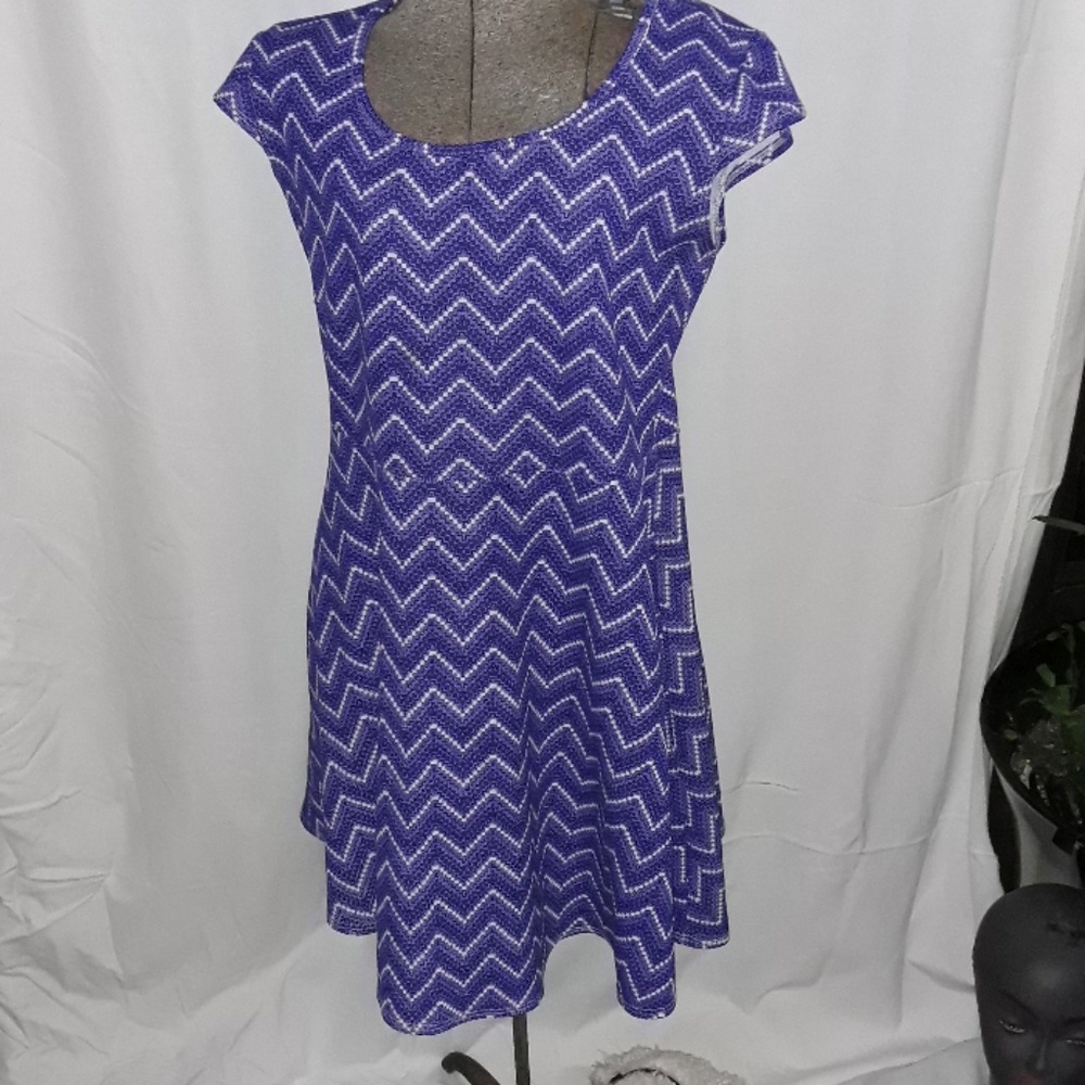Blue skater dress